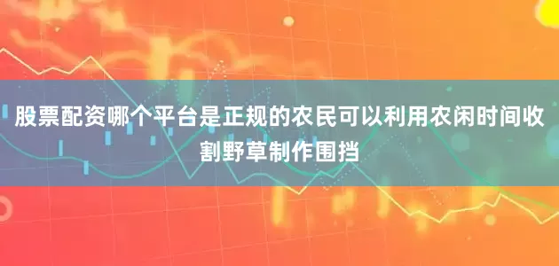 股票配资哪个平台是正规的农民可以利用农闲时间收割野草制作围挡