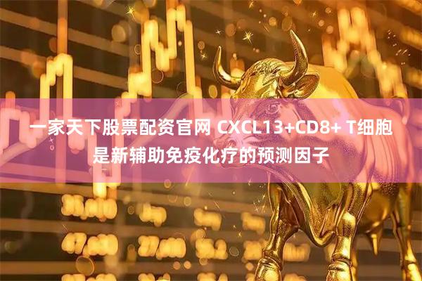 一家天下股票配资官网 CXCL13+CD8+ T细胞是新辅助免疫化疗的预测因子