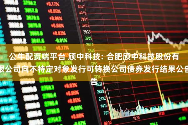 公牛配资端平台 颀中科技: 合肥颀中科技股份有限公司向不特定对象发行可转换公司债券发行结果公告