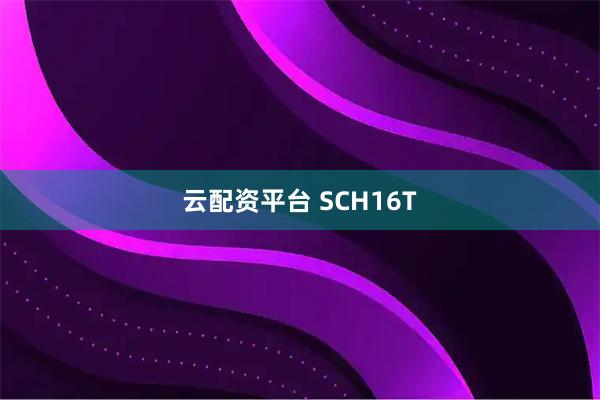 云配资平台 SCH16T